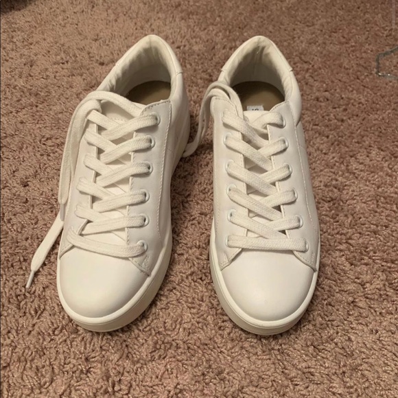 Steve Madden Shoes - Steve Madden White Sneakers